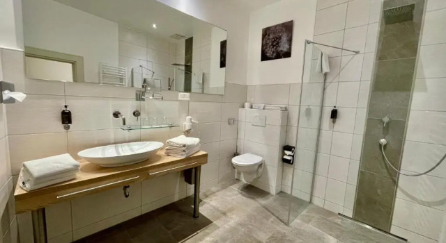 Трёхместный номер Standard Hotel Central