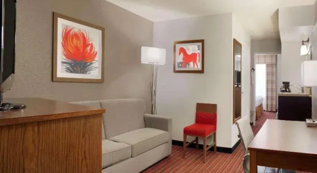 Люкс Country Inn & Suites by Radisson, DFW Airport South, TX