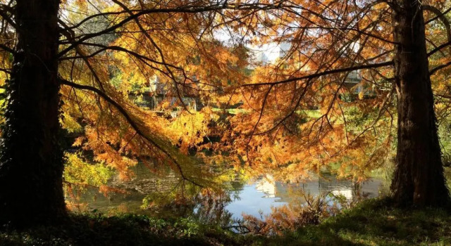 Коттедж Le Moulin de Mansle