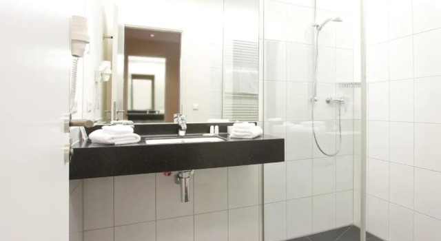 Двухместный номер Comfort Hotel Rose