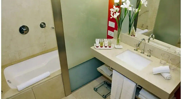 Номер Standard Hotel Pullman City Center Rosario