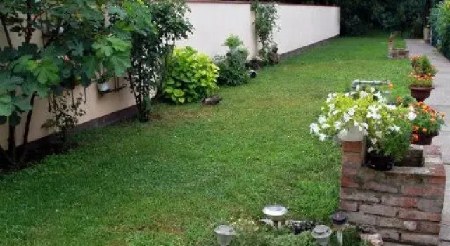 Трёхместный номер Standard Setnik Guesthouse