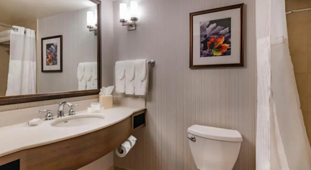 Двухместный номер Premium Hilton Garden Inn Devens Common
