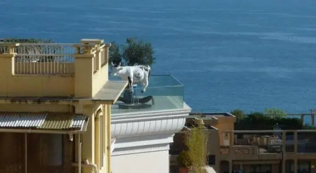 Четырёхместный номер Standard Hôtel Villa Boeri