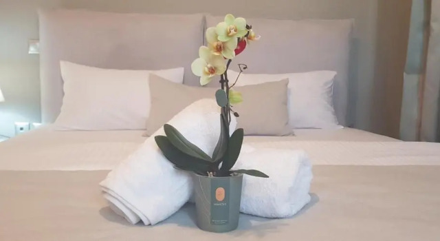 Двухместный номер Deluxe Villa Marelia apartments