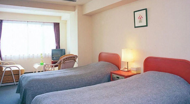 Двухместный номер Standard Tominoko Hotel