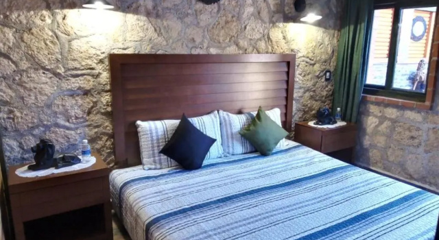 Двухместный номер Standard Cabañas Big Mountain