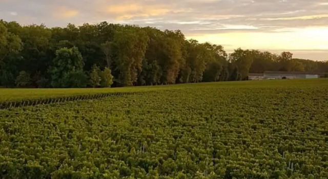 Château Marquis de Terme, Varaa Hotelli Margaux Medoc