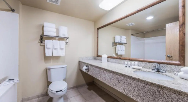 Четырёхместный номер Deluxe Red Lion Inn & Suites Goodyear Newly Renovated