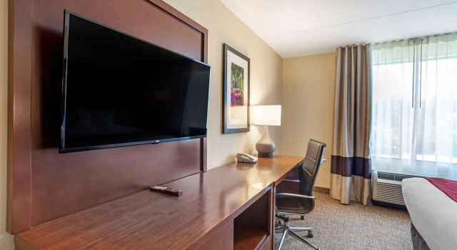 Четырёхместный номер Standard Comfort Suites Fredericksburg North