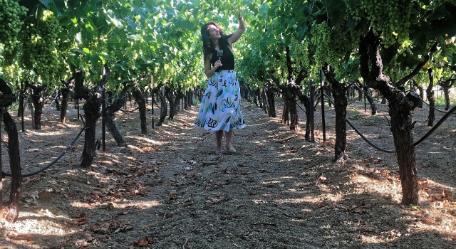 Вилла Cretan Vineyard Hill Villa