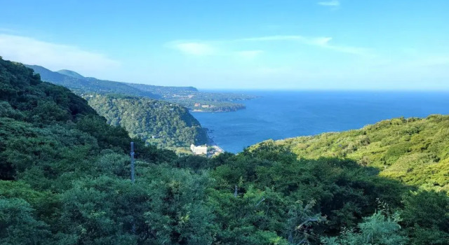 Коттедж Costa de Rias Izu-Atagawa - Vacation STAY 11110v