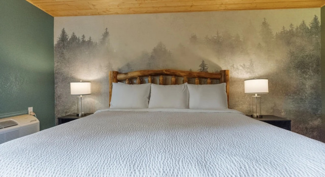 Двухместный номер Standard Tremont Lodge & Resort