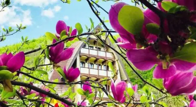 Pension Casa Vanatorilor, Rezervovat Hotel Baile Olanesti 