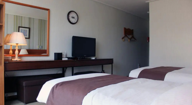 Двухместный номер Business Homers Hotel