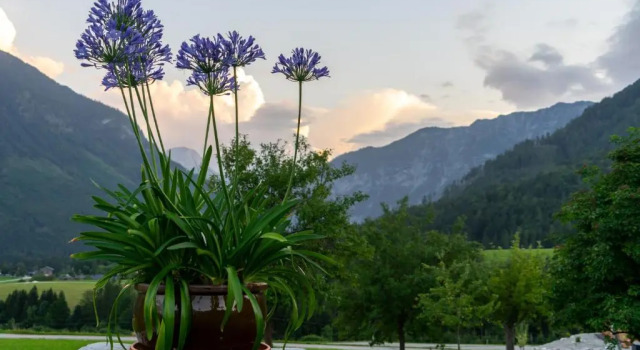 Lovely house with mountain view & big garden in Bad Aussee, Book Hotel Hotels in Ausseerland with Parking, Parking