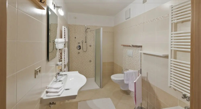 Четырёхместный номер Standard с балконом Cesa Edelweiss Living & Spa