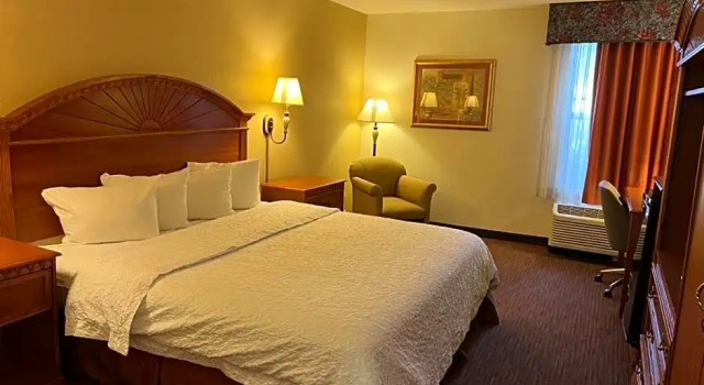 Двухместный номер Standard Orlando Palms