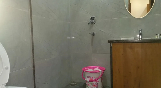Номер Classic Hotel Sudarshan Palace