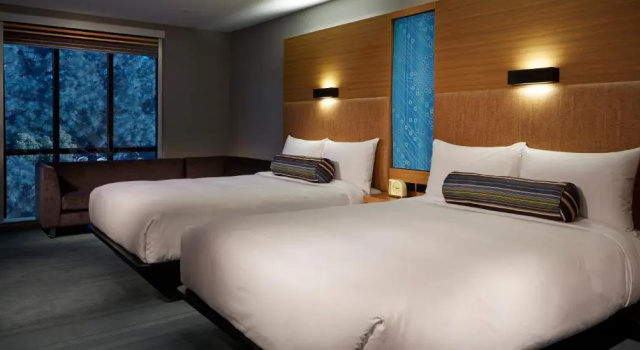 Четырёхместный номер Standard Aloft by Marriott Cupertino