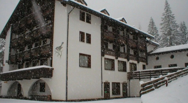 Villaggio Dolomitico, Забронировать Отель Форни-Авольтри Udine Area