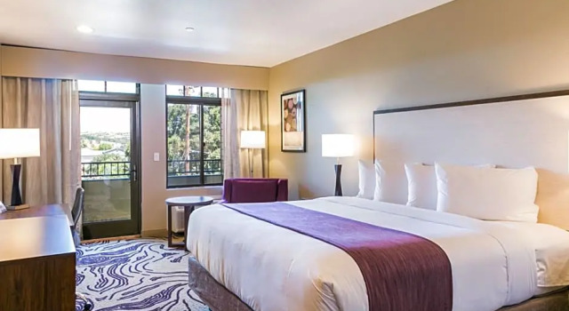 Номер Deluxe Hotel Siri Downtown - Paso Robles