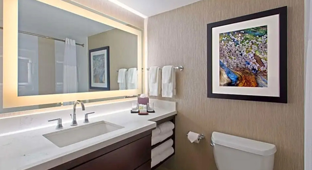 Четырёхместный люкс Conference c 1 комнатой Embassy Suites by Hilton Orlando International Drive Convention Center