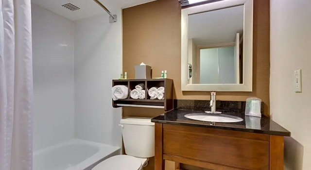 Четырёхместный люкс Holiday Inn Express Washington DC SW - Springfield by IHG