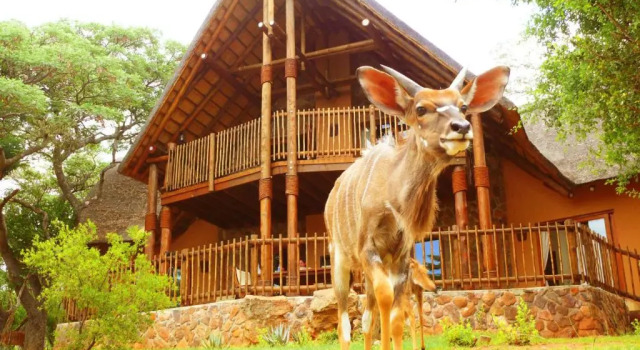 Шале с 3 комнатами Kololo Game Reserve