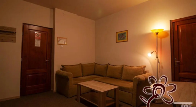 Люкс Casa din Parc