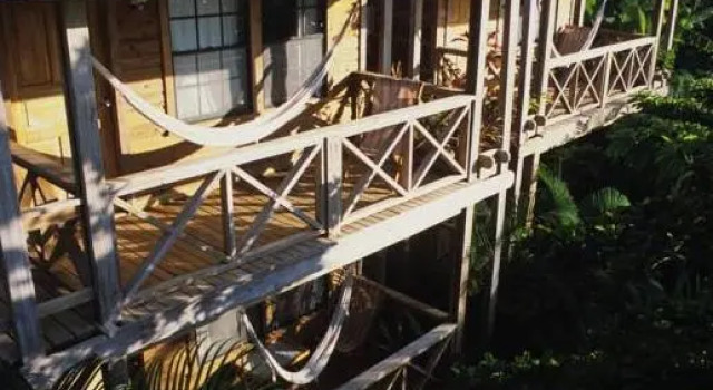 Кровать в общем номере Las Rocas Resort and Dive Center