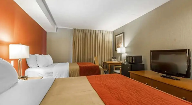 Четырёхместный номер Standard Цокольный этаж Spark by Hilton Oshawa