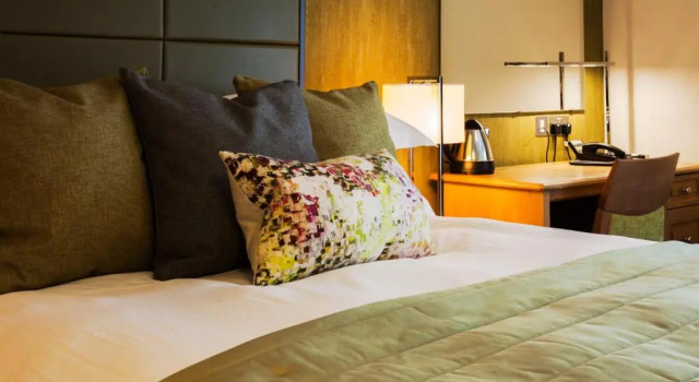 Двухместный номер Executive Trout Hotel