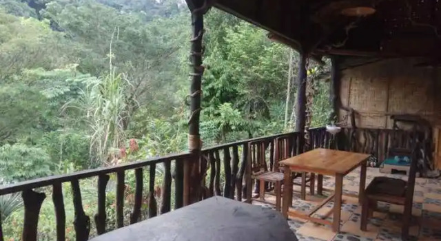 Tangkahan Inn, Book Hotel Tangkahan Sumatra