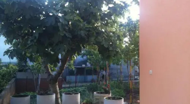 Guest House Cvita, Забронировать Гостевой дом Гостевые дома Задар, рядом с Sphinx of Zadar, Гостевой дом