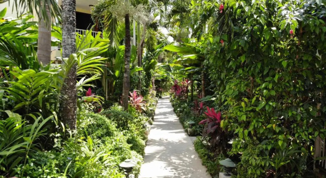Номер Standard Negril Palms
