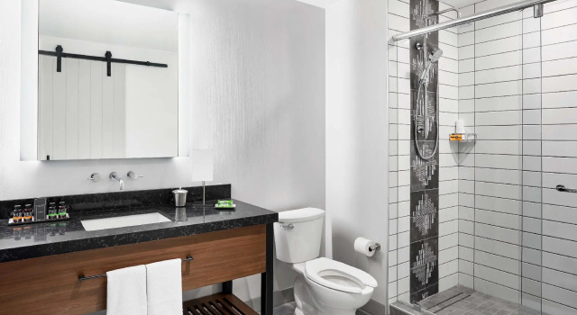 Двухместный номер Premium Canopy By Hilton Tempe Downtown