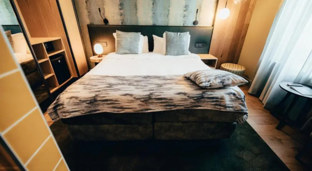 Номер Standard Cityhotel Wood