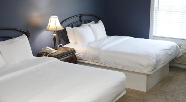 Двухместный номер Deluxe Depot Inn & Suites