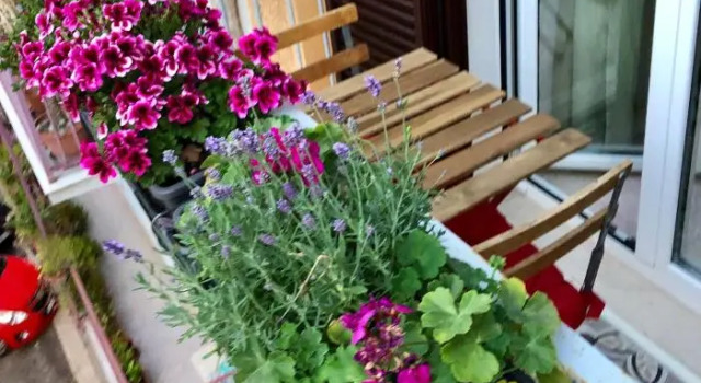 Casa De Rosas, Book Hostel Hostels in Bari, Hostel