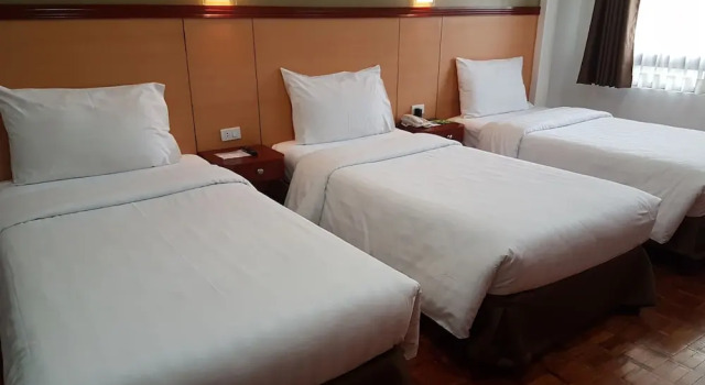 Номер Deluxe BSA Tower Serviced Residences
