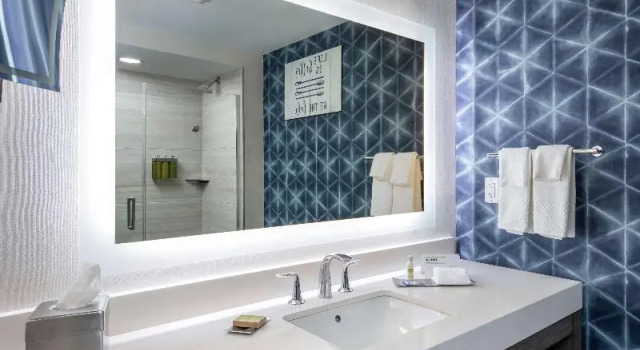 Номер Standard с красивым видом из окна DoubleTree by Hilton Hot Springs