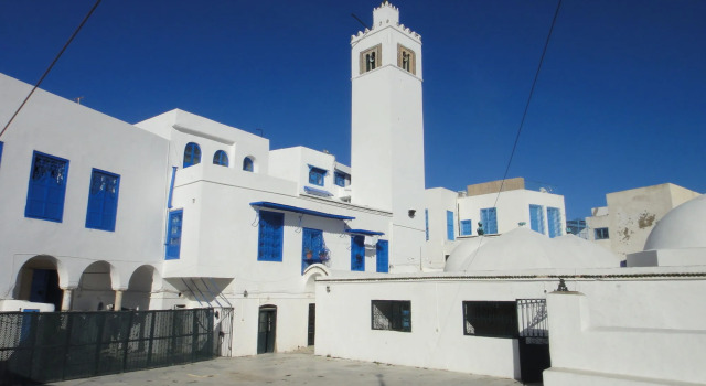 Dar El Fell Sidi Bou Said - Adults Only