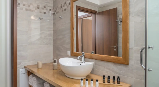 Люкс Standard Milesian Suites