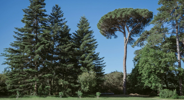 Villa Saint Victor, Varaa Villa Saint-Victor-des-Oules Languedoc-Roussillon