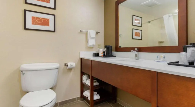 Номер Standard Comfort Inn & Suites Cordele