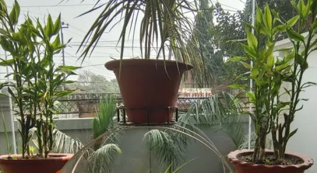 Hotel City Park Pvt. Ltd., Rezerwuj Hotel Janakpur Madhesh Province