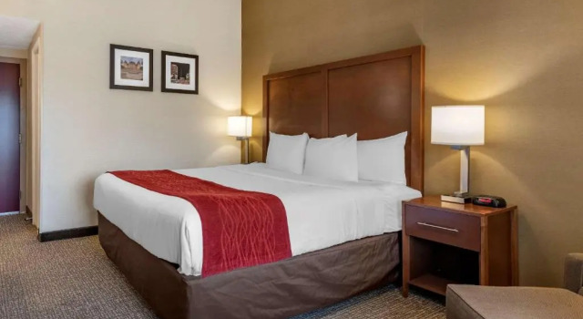 Номер Standard Comfort Inn Albany-South, Glenmont
