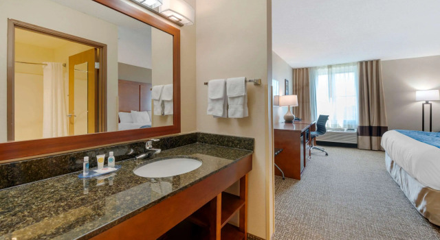 Люкс Comfort Inn Anderson South