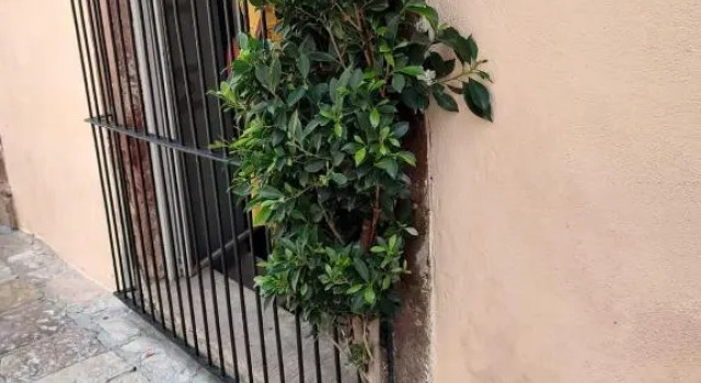 Casa Aldama 83 -Centro
